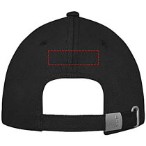 Davis 6 panel cap