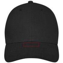 Davis 6 panel cap
