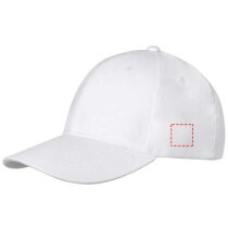 Davis 6 panel cap