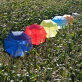Polyester (190T) paraplu Endy ø 105 cm